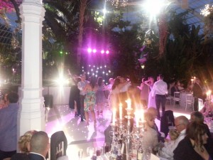 wedding discos sefton park palm house