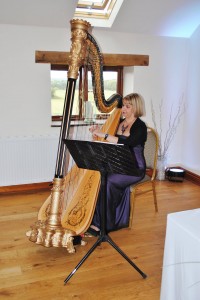 harpist preston