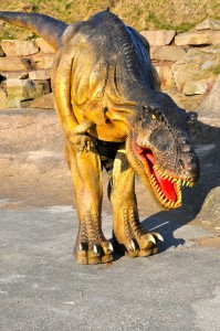 T Rex Jurassic Dinosaur