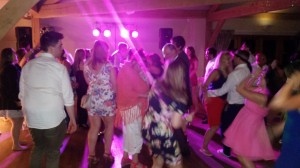 wedding dj white hart lydgate