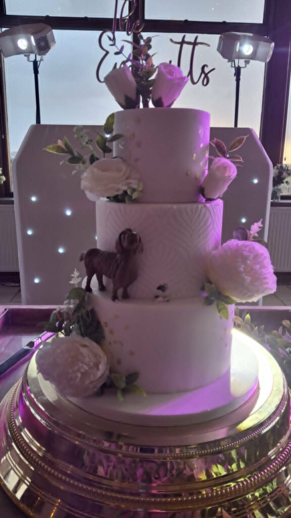 wedding party beeston manor